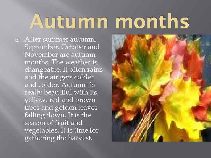 Autumn months After summer autumn. September, October and November are autumn months. The weather