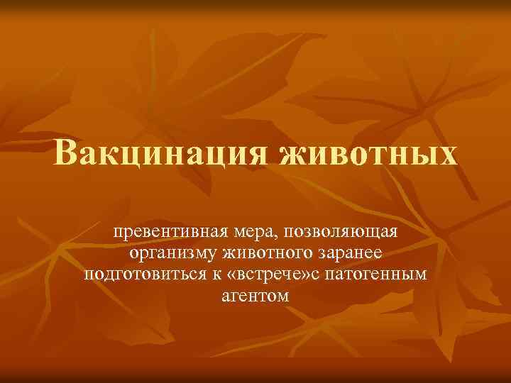 Вакцинация животных превентивная мера, позволяющая организму животного заранее подготовиться к «встрече» с патогенным агентом