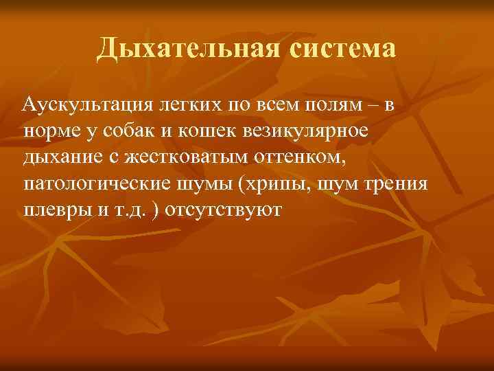 Дыхательная система Аускультация легких по всем полям – в норме у собак и кошек