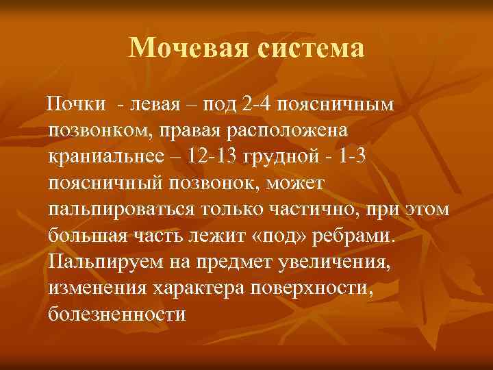Мочевая система Почки - левая – под 2 -4 поясничным позвонком, правая расположена краниальнее