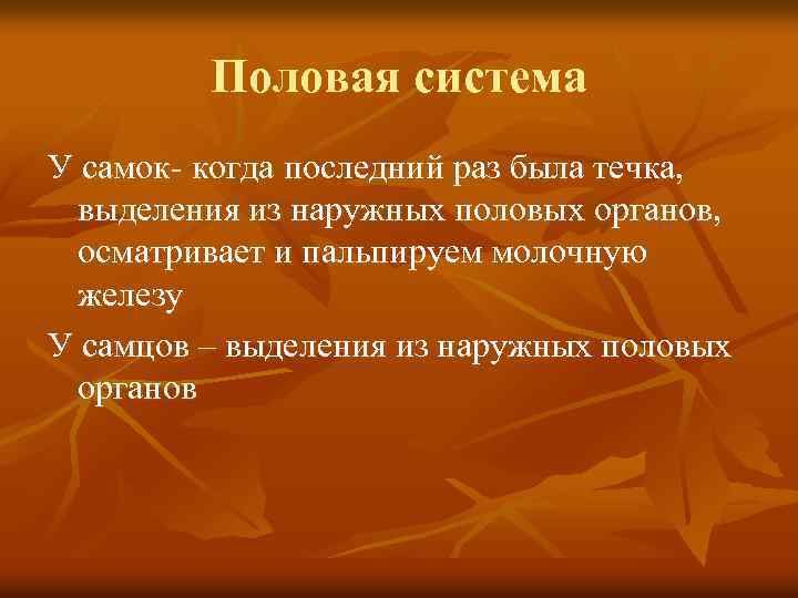 Половая система У самок- когда последний раз была течка, выделения из наружных половых органов,