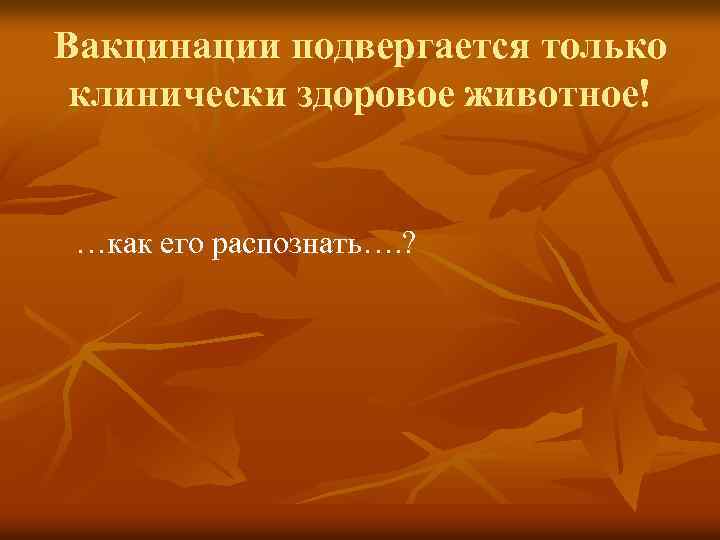 Вакцинации подвергается только клинически здоровое животное! …как его распознать…. ? 