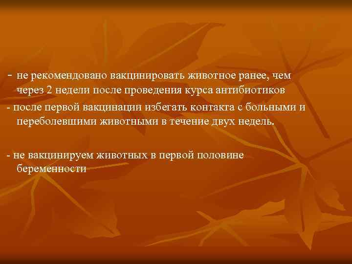 - не рекомендовано вакцинировать животное ранее, чем через 2 недели после проведения курса антибиотиков