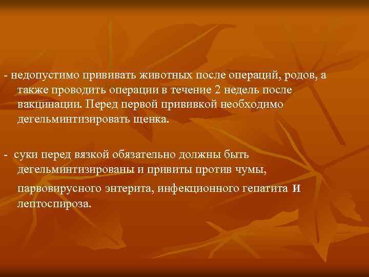 - недопустимо прививать животных после операций, родов, а также проводить операции в течение 2