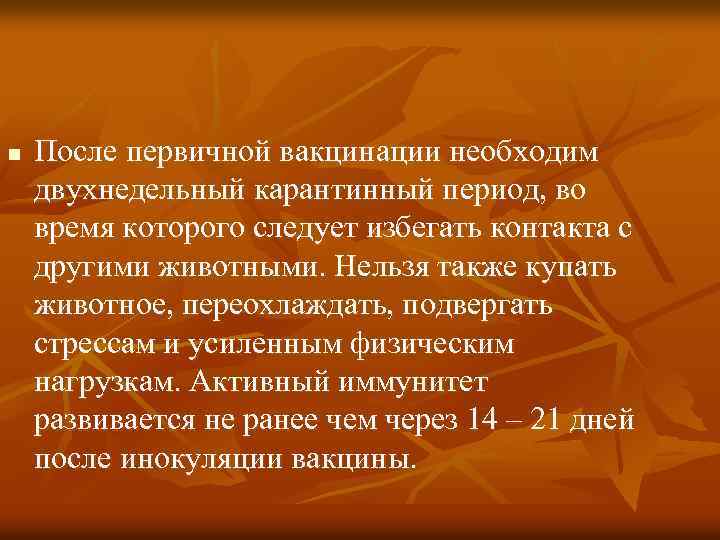 n После первичной вакцинации необходим двухнедельный карантинный период, во время которого следует избегать контакта