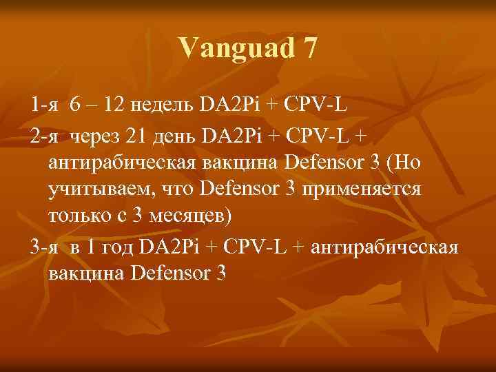 Vanguad 7 1 -я 6 – 12 недель DA 2 Pi + СPV-L 2