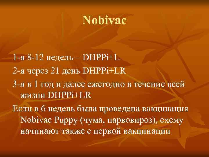 Nobivac 1 -я 8 -12 недель – DHPPi+L 2 -я через 21 день DHPPi+LR