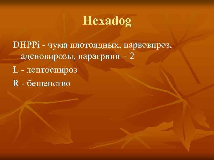 Hexadog DHPPi - чума плотоядных, парвовироз, аденовирозы, парагрипп – 2 L - лептоспироз R