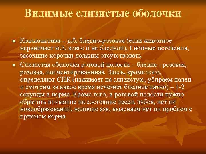 Видимые слизистые оболочки n n Конъюнктива – д. б. бледно-розовая (если животное нервничает м.