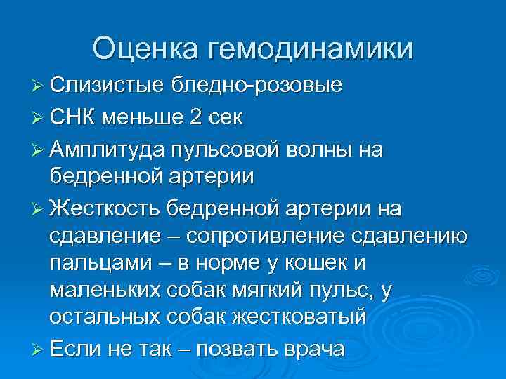 Оценка гемодинамики Ø Слизистые бледно-розовые Ø СНК меньше 2 сек Ø Амплитуда пульсовой волны