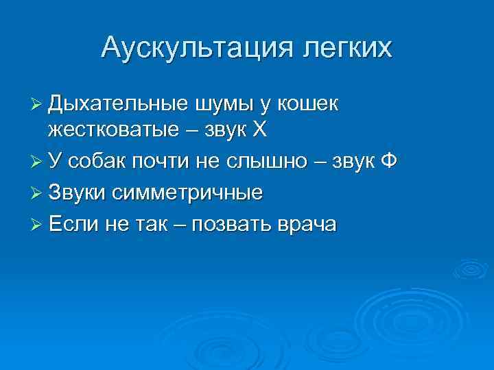 Аускультация легких Ø Дыхательные шумы у кошек жестковатые – звук Х Ø У собак