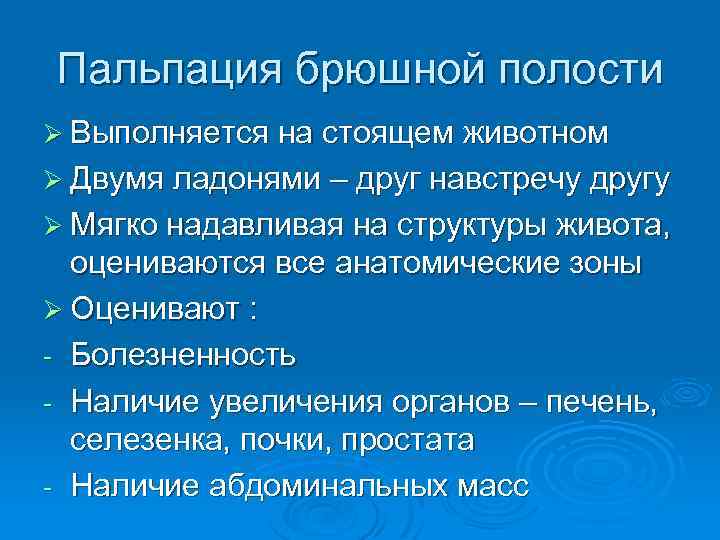 Пальпация брюшной полости Ø Выполняется на стоящем животном Ø Двумя ладонями – друг навстречу