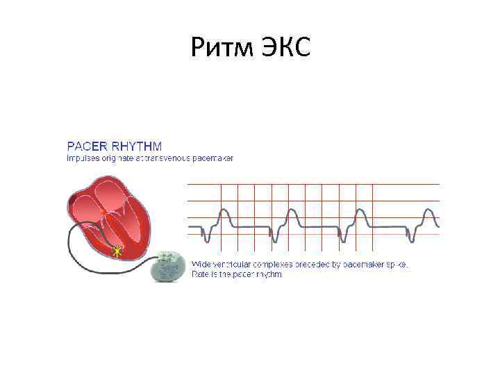 Производители экс. Ритм экс.