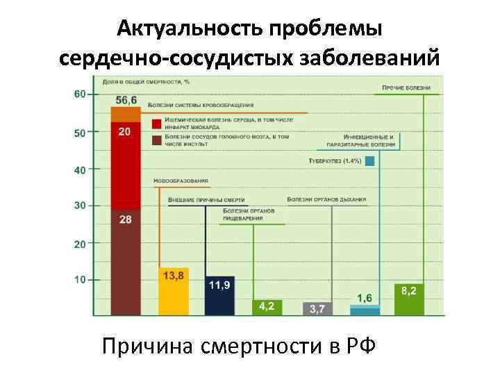 Актуальность проблемы сердечно-сосудистых заболеваний Причина смертности в РФ 