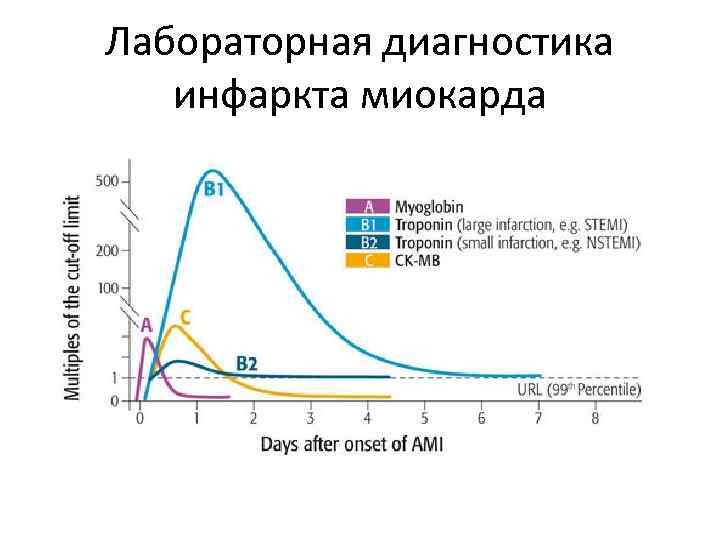 Лабораторная диагностика инфаркта миокарда 