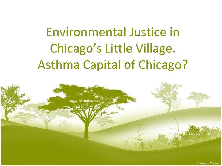 Environmental Justice in Chicago’s Little Village. Asthma Capital of Chicago? 