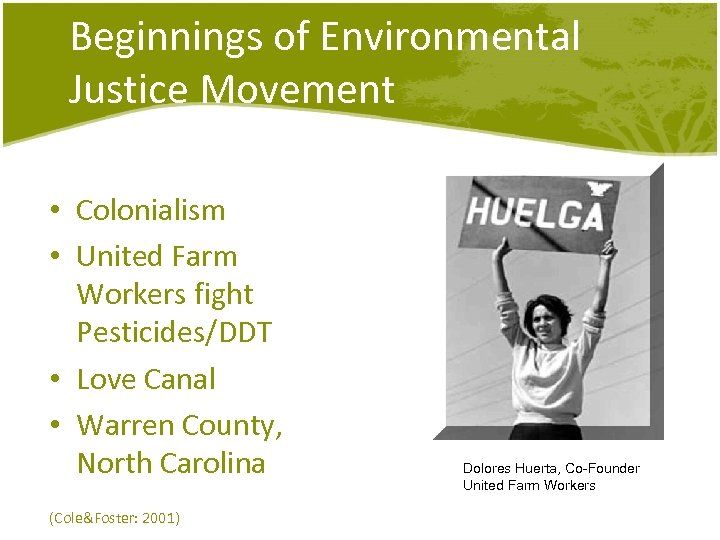 Beginnings of Environmental Justice Movement • Colonialism • United Farm Workers fight Pesticides/DDT •