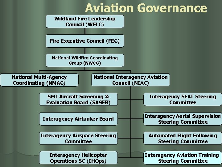 Aviation Governance Wildland Fire Leadership Council (WFLC) Fire Executive Council (FEC) National Wildfire Coordinating