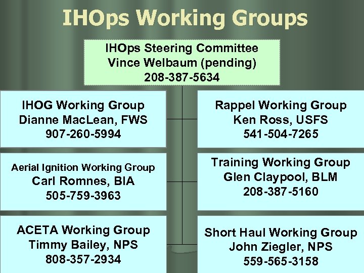 IHOps Working Groups IHOps Steering Committee Vince Welbaum (pending) 208 -387 -5634 IHOG Working