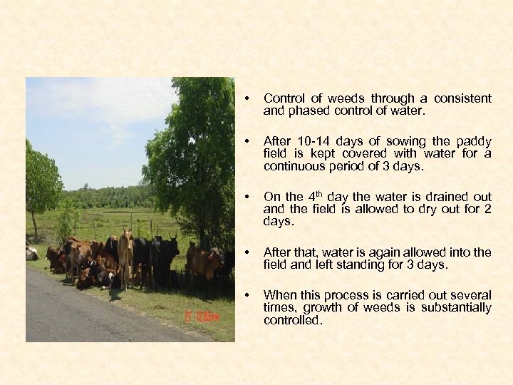  • Control of weeds through a consistent and phased control of water. •