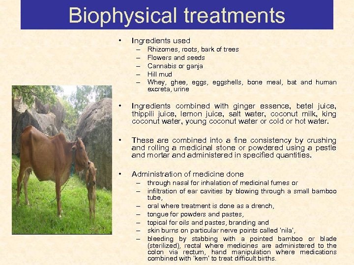 Biophysical treatments • Ingredients used – – – Rhizomes, roots, bark of trees Flowers