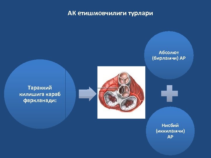 АК етишмовчилиги турлари Абсолют (бирламчи) АР Тараккий килишига караб фаркланади: Нисбий (иккиламчи) АР 