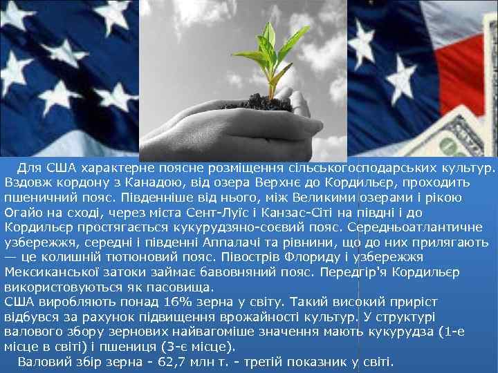 Для США характерне поясне розміщення сільськогосподарських культур. Вздовж кордону з Канадою, від озера