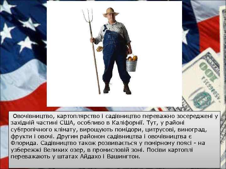  Овочівництво, картоплярство і садівництво переважно зосереджені у західній частині США, особливо в Каліфорнії.