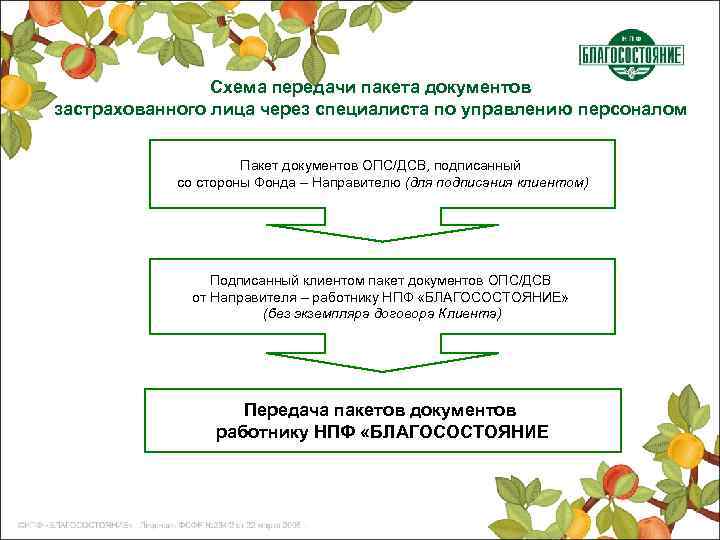 Схема передачи пакета документов застрахованного лица через специалиста по управлению персоналом Пакет документов ОПС/ДСВ,