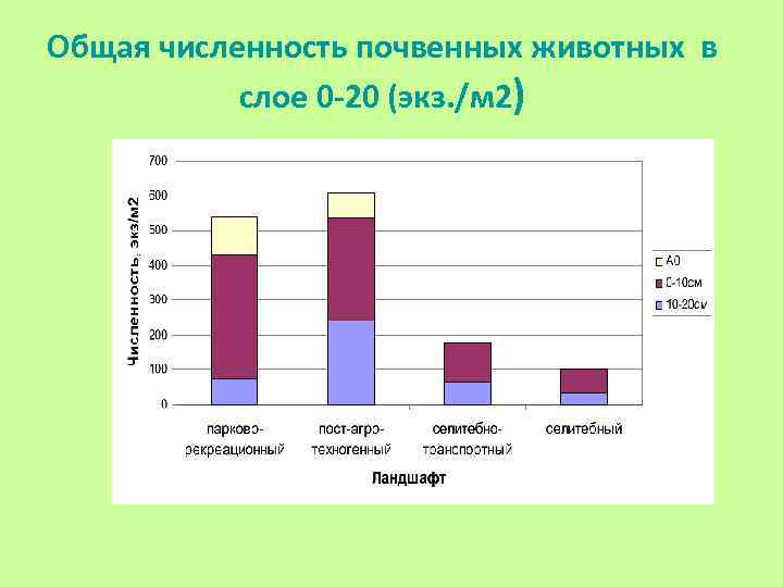 Общая численность почвенных животных в слое 0 -20 (экз. /м 2) 