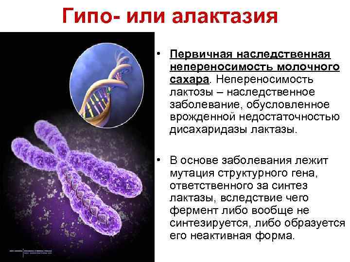 Гипо- или алактазия • Первичная наследственная непереносимость молочного сахара. Непереносимость лактозы – наследственное заболевание,