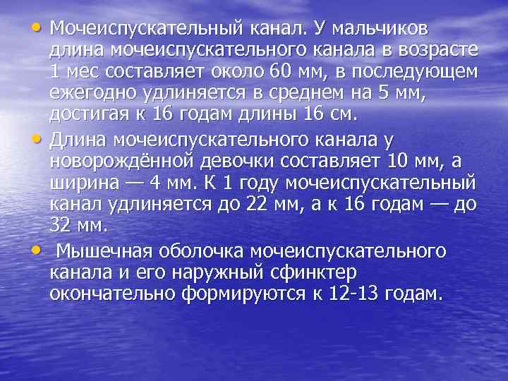  • Мочеиспускательный канал. У мальчиков • • длина мочеиспускательного канала в возрасте 1