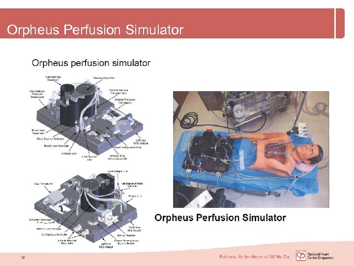 Orpheus Perfusion Simulator 12 