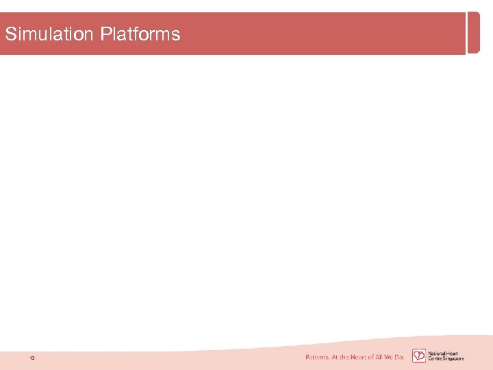 Simulation Platforms 13 