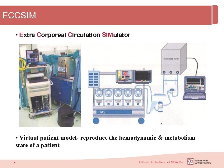 ECCSIM • Extra Corporeal Circulation SIMulator • Virtual patient model- reproduce the hemodynamic &