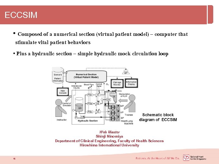 ECCSIM • Composed of a numerical section (virtual patient model) – computer that stimulate