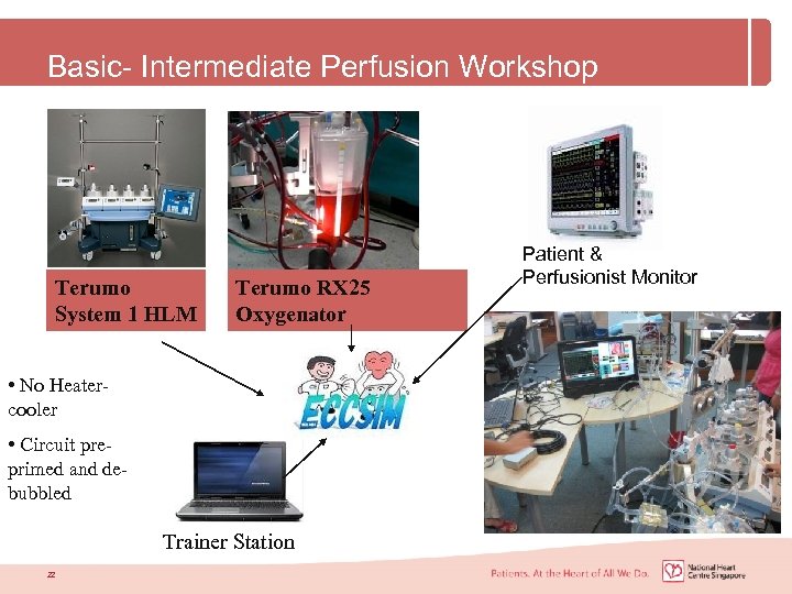 Basic- Intermediate Perfusion Workshop Terumo System 1 HLM Terumo RX 25 Oxygenator • No