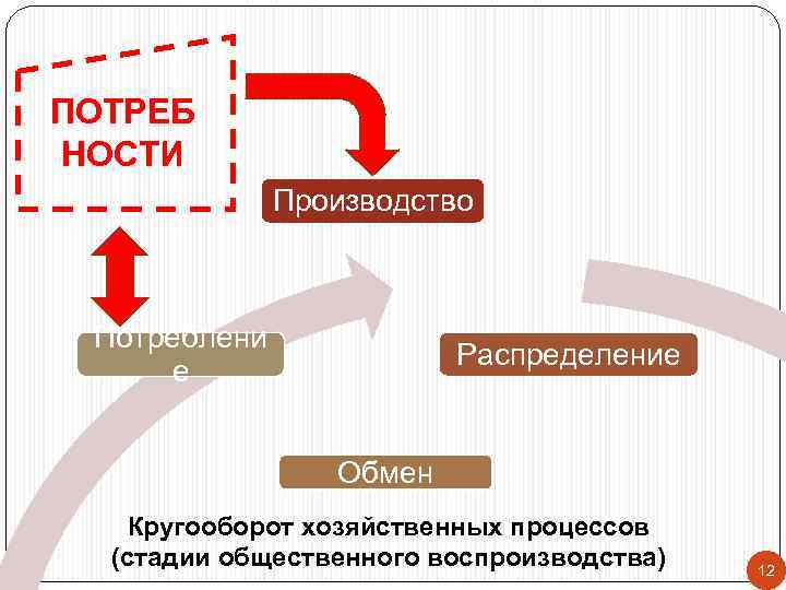 ПОТРЕБ НОСТИ Производство Потреблени е Распределение Обмен Кругооборот хозяйственных процессов (стадии общественного воспроизводства) 12