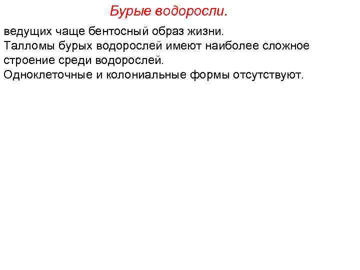 Бурые водоросли. ведущих чаще бентосный образ жизни. Талломы бурых водорослей имеют наиболее сложное строение