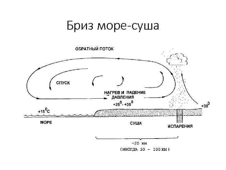 Бриз море-суша 