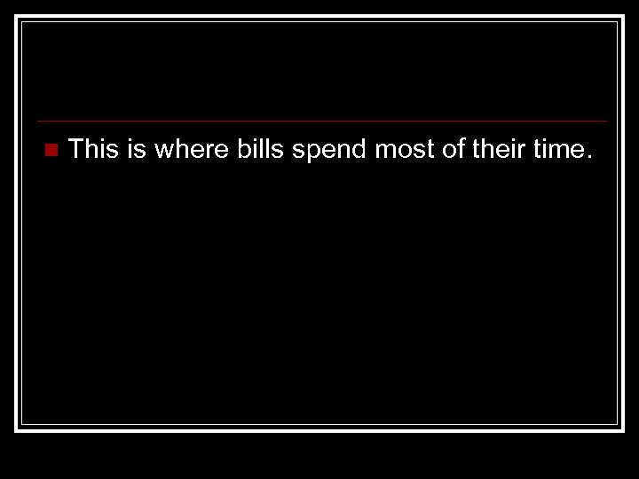 n This is where bills spend most of their time. 