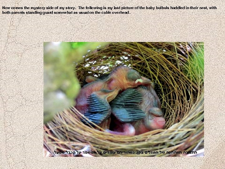 Now comes the mystery side of my story. The following is my last picture