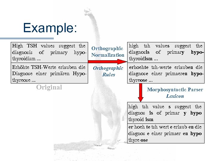 Example: High TSH values suggest the Orthographic high tsh values suggest the diagnosis of
