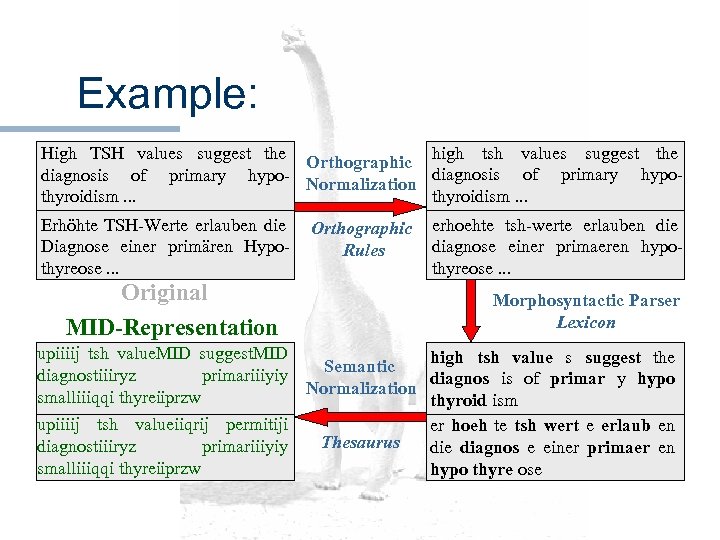 Example: High TSH values suggest the Orthographic high tsh values suggest the diagnosis of