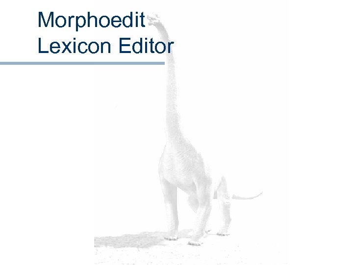 Morphoedit Lexicon Editor 