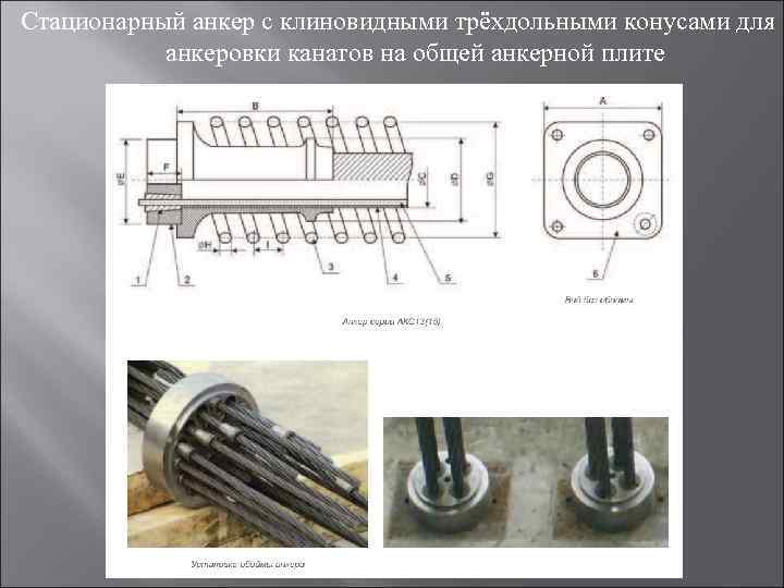 Стационарный анкер с клиновидными трёхдольными конусами для анкеровки канатов на общей анкерной плите 