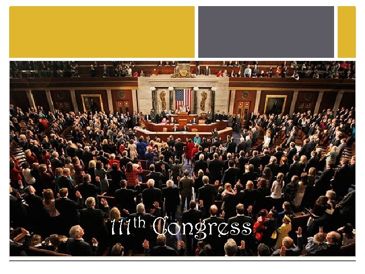 111 th Congress 