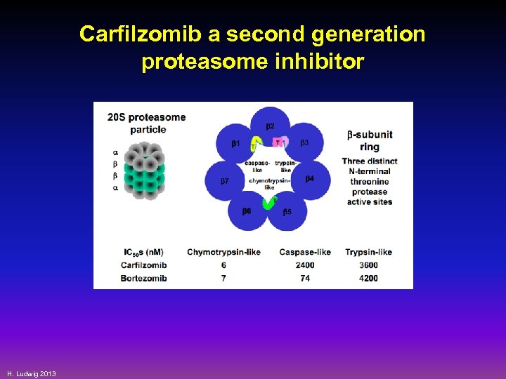 Carfilzomib a second generation proteasome inhibitor H. Ludwig 2013 