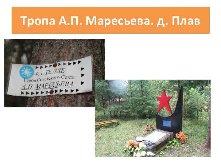 Тропа А. П. Маресьева. д. Плав 