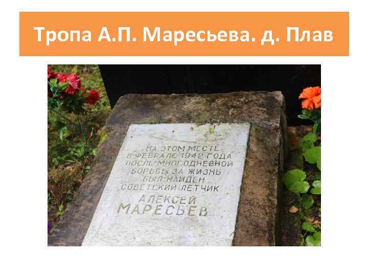 Тропа А. П. Маресьева. д. Плав 